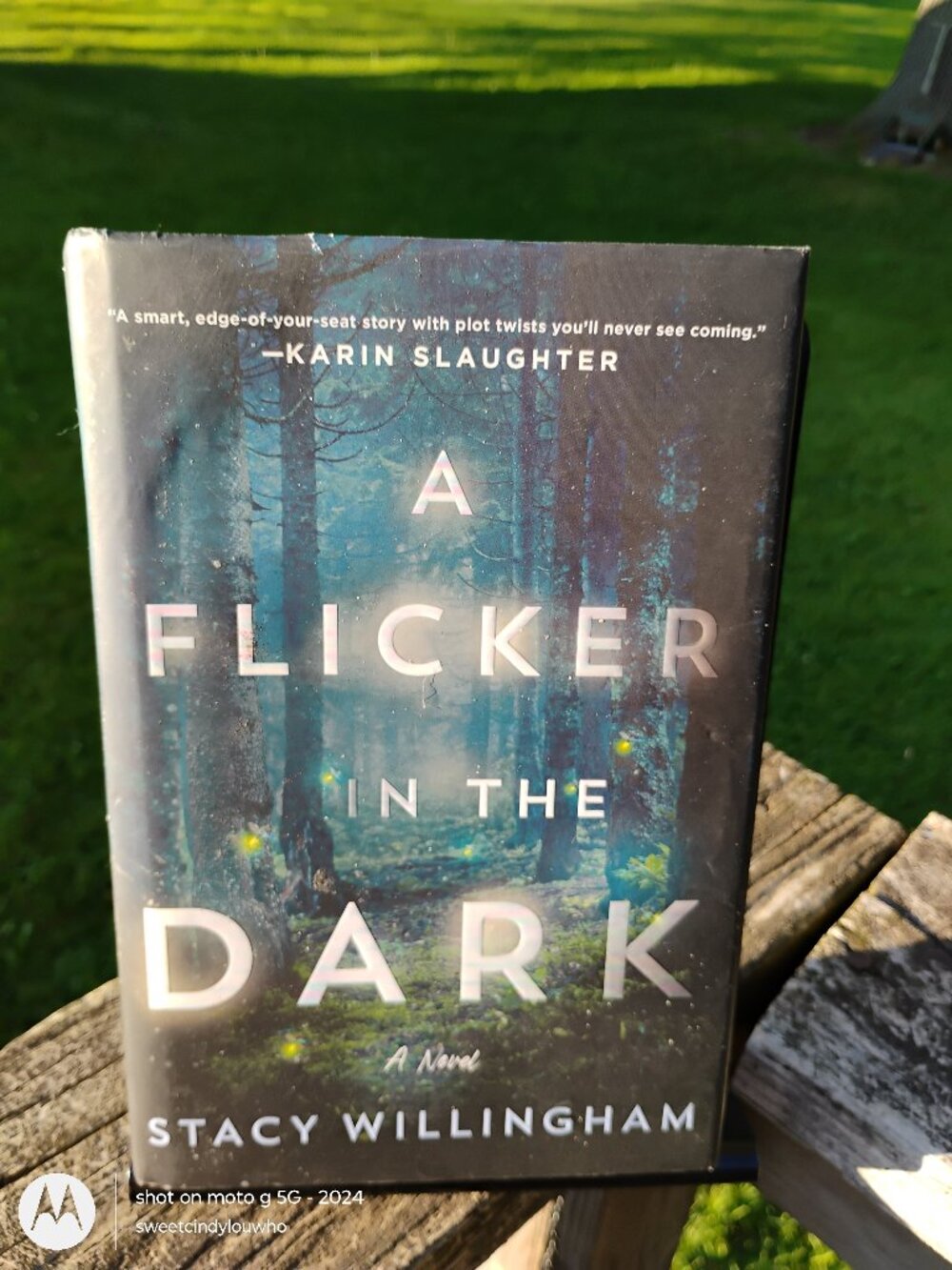 A Flicker in the Dark by Stacy WIllingham hardcover with dust jacket dated 2021